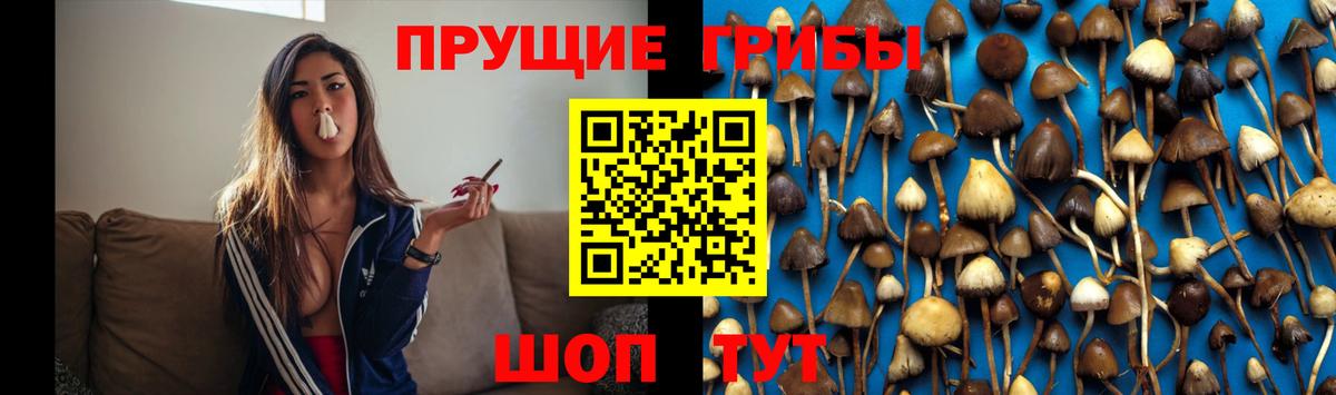 Галлюциногенные грибы мухоморы  Вход с VPN  даркнет сайт  Гулькевичи 