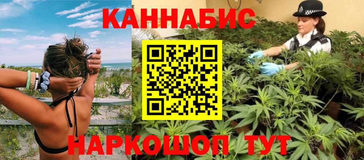Конопля SATIVA & INDICA  Конопля индика  Гулькевичи 